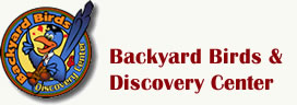 backyardbirdsdiscoverycenter.com